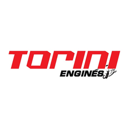 Torini